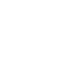 Cursor