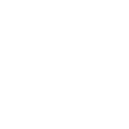 Git