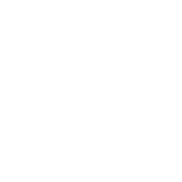 IPFS