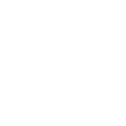 Model Context Protocol