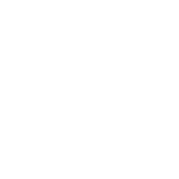 Notion