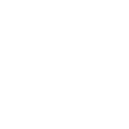 Obsidian