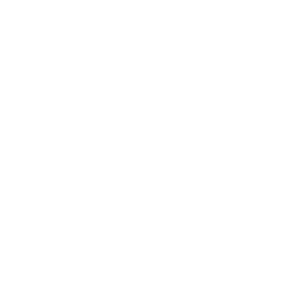 PostgreSQL