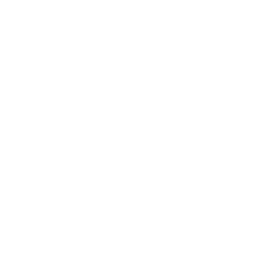 Redis
